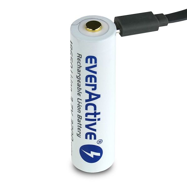 Аккумулятор EverActive 18650 3200 Series Li-ion со встроенным зарядным от micro USB, с защитой (Protected)